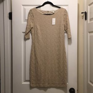 Cream Laced Banana Republic Dress
